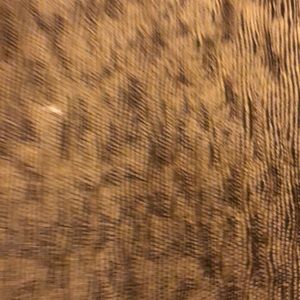 Meet your Posher, Blake